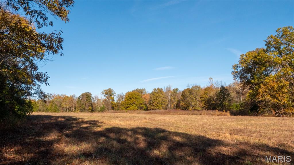 0 Oak Forest Road Bland, MO 65014 - Photo 30 of 40
