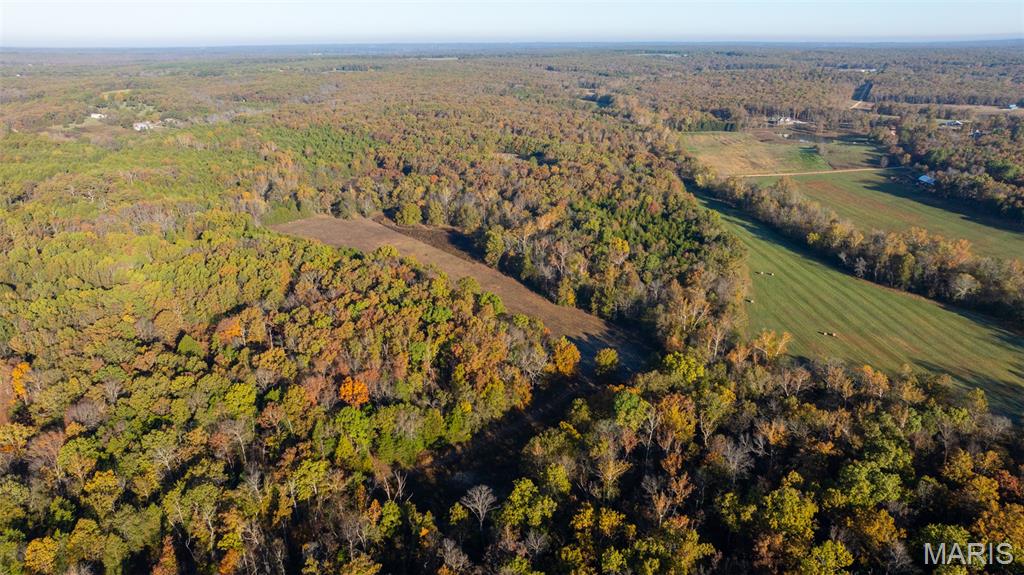 0 Oak Forest Road Bland, MO 65014 - Photo 3 of 40