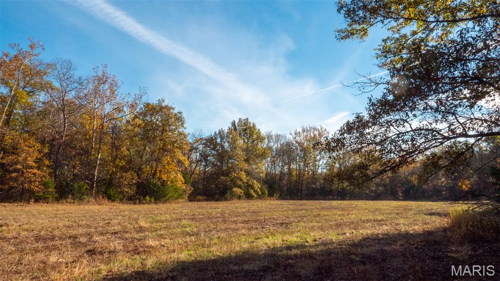 0 Oak Forest Road Bland, MO 65014 - Photo 31 of 40