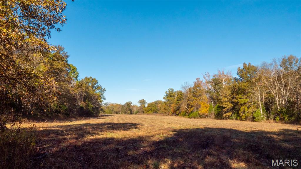 0 Oak Forest Road Bland, MO 65014 - Photo 32 of 40