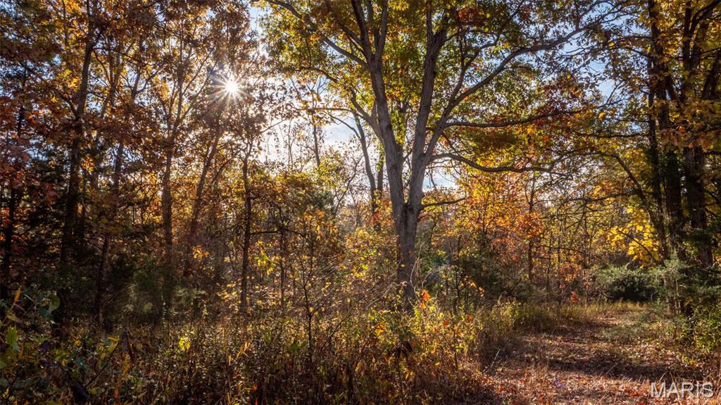 0 Oak Forest Road Bland, MO 65014 - Photo 33 of 40