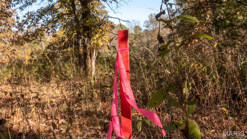 0 Oak Forest Road Bland, MO 65014 - Photo 35 of 40