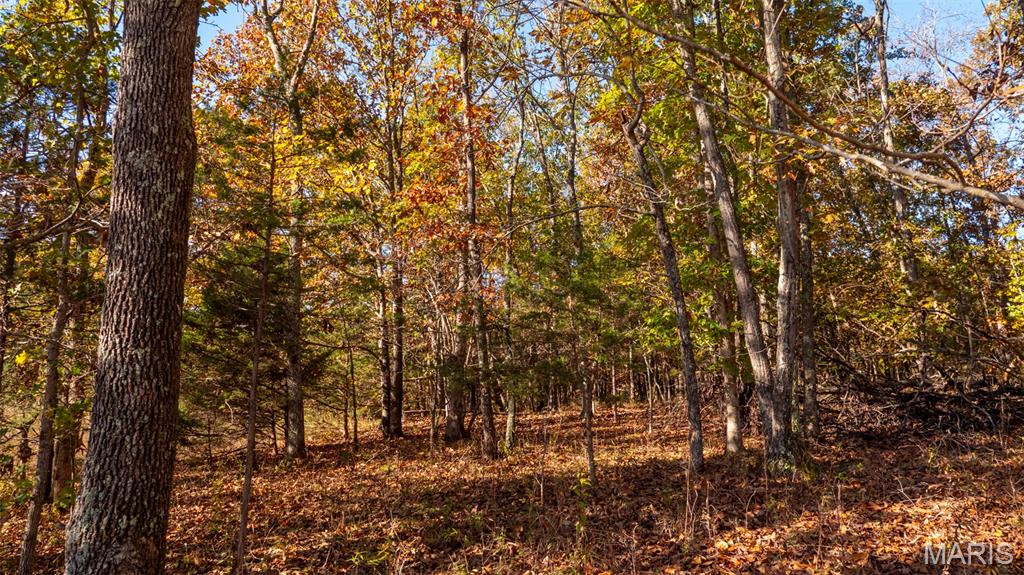 0 Oak Forest Road Bland, MO 65014 - Photo 38 of 40