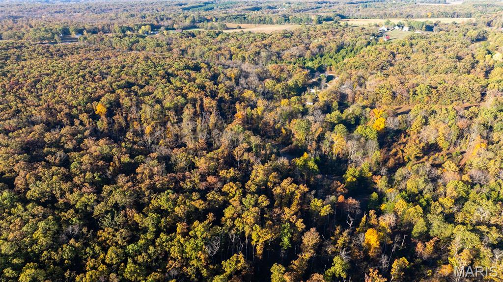0 Oak Forest Road Bland, MO 65014 - Photo 4 of 40