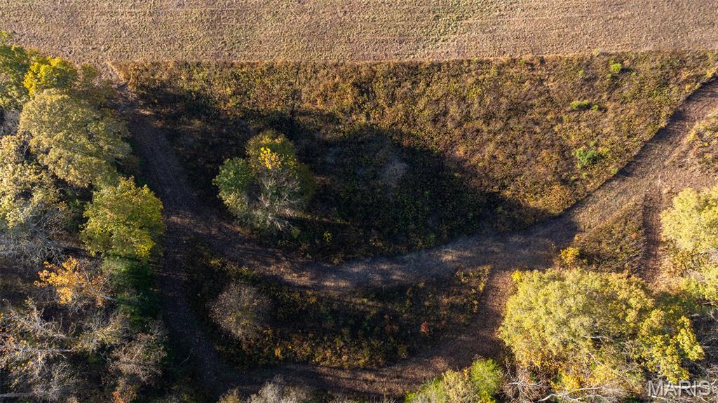 0 Oak Forest Road Bland, MO 65014 - Photo 5 of 40