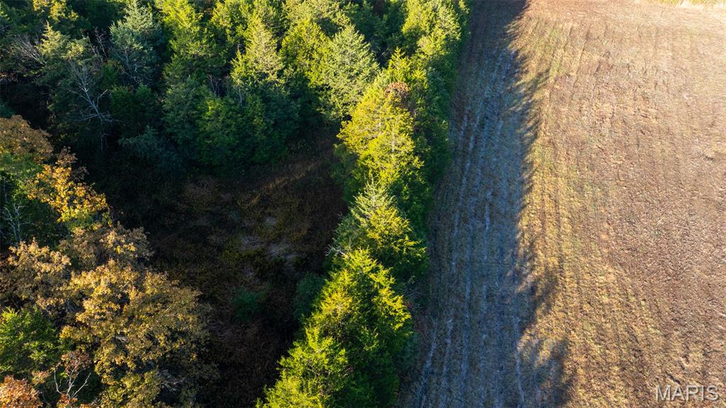 0 Oak Forest Road Bland, MO 65014 - Photo 7 of 40