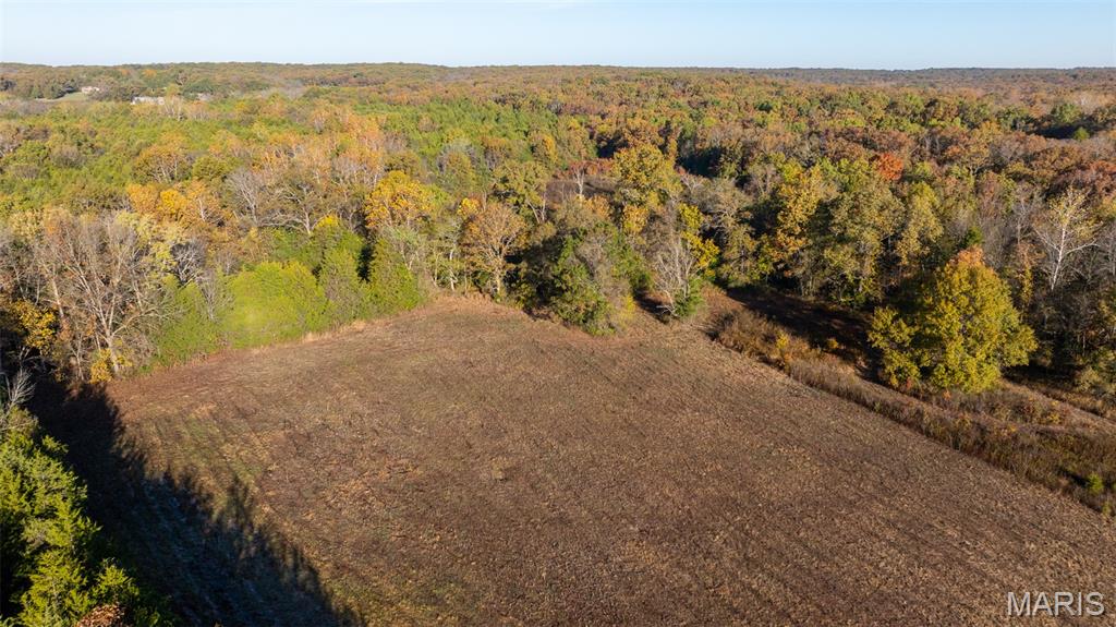 0 Oak Forest Road Bland, MO 65014 - Photo 8 of 40