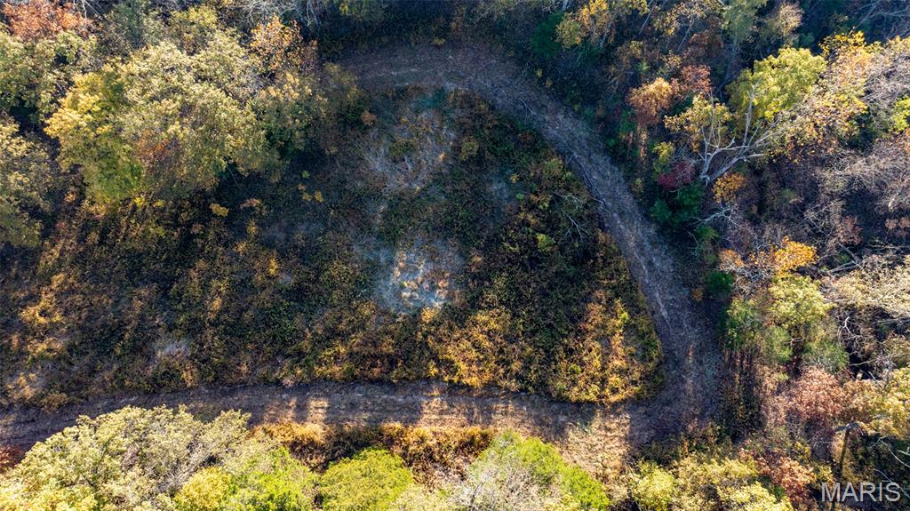 0 Oak Forest Road Bland, MO 65014 - Photo 9 of 40