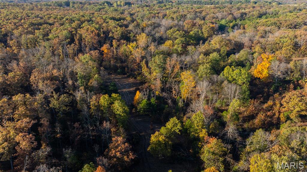 0 Oak Forest Road Bland, MO 65014 - Photo 10 of 40