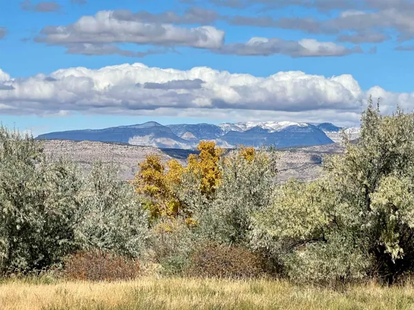 $156,000 | 48933 Gaia Drive, Mesa, CO 81643