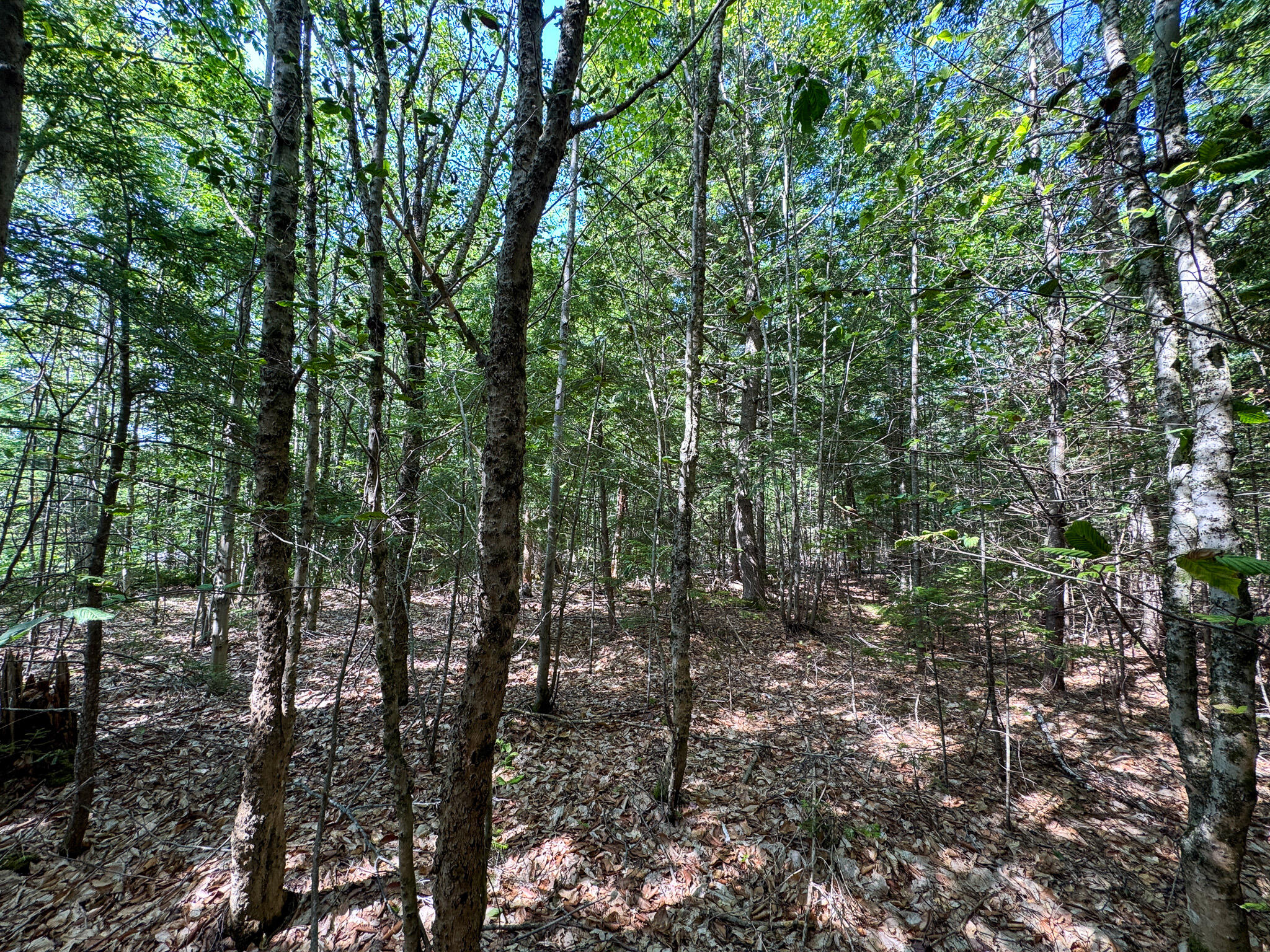 708 Howland Road Lagrange, ME 04453 - Photo 6 of 23 IMG_4777