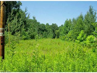 Peck Leach Road Middlefield, OH 44062 - Photo 1 of 1