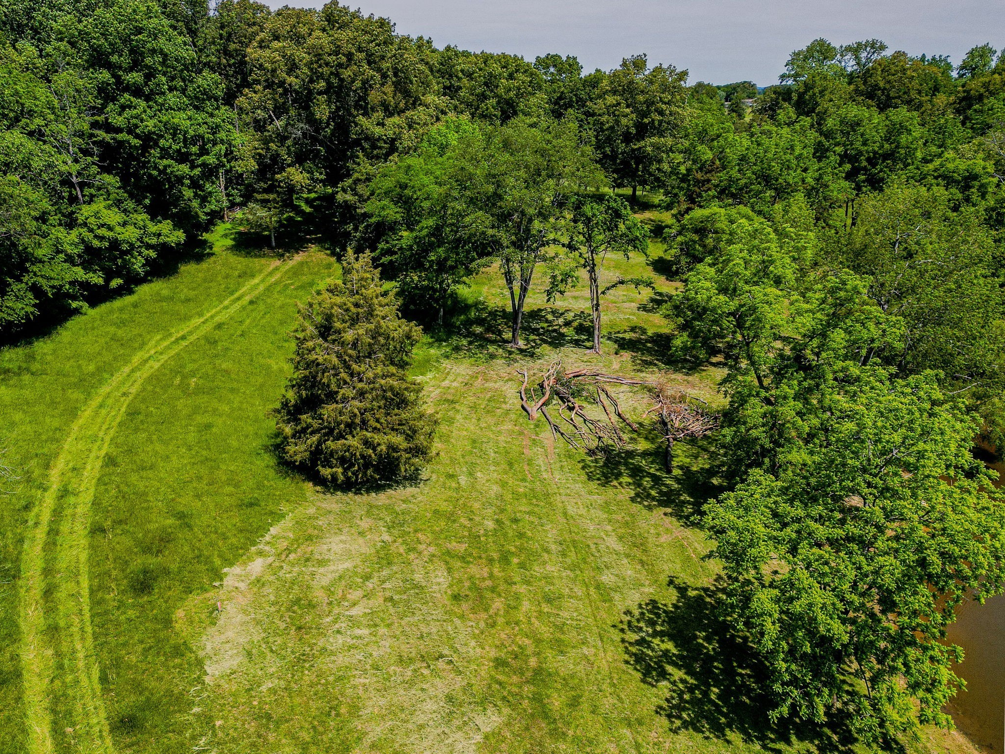 4919 Pulliam-Hardaway Road Springfield, TN 37172 - Photo 82 of 95 Gallery Image 82