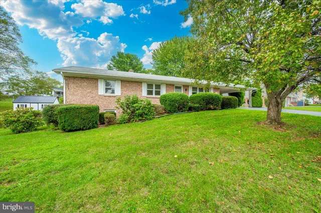 a view of a backyard with plants and large trees