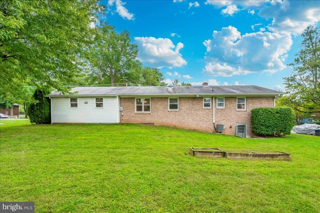 a view of a big yard with large trees