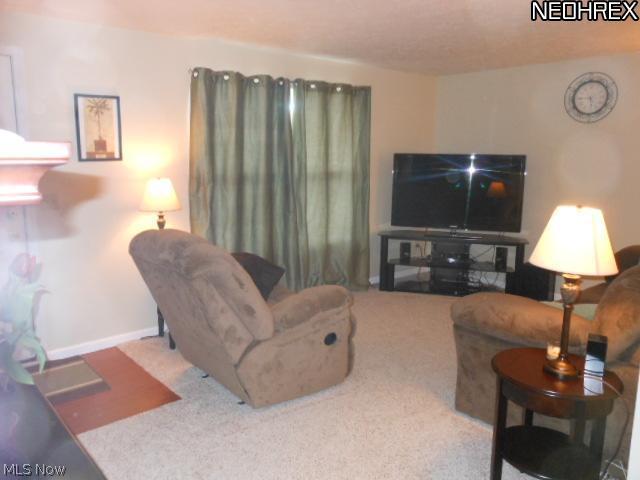 8580 Crow Road Litchfield, OH 44253 - Photo 8 of 9 Gallery Image 8