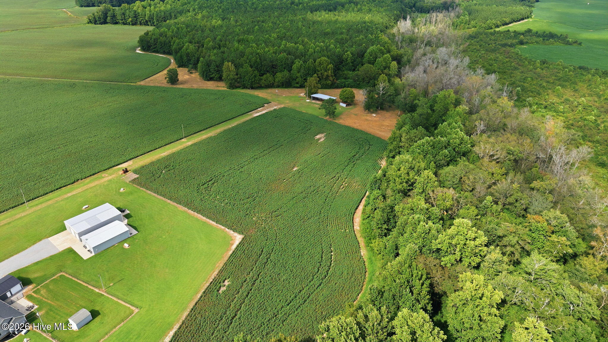 1811 Cannon Road Hobgood, NC 27843 - Photo 3 of 28 Gallery Image 3