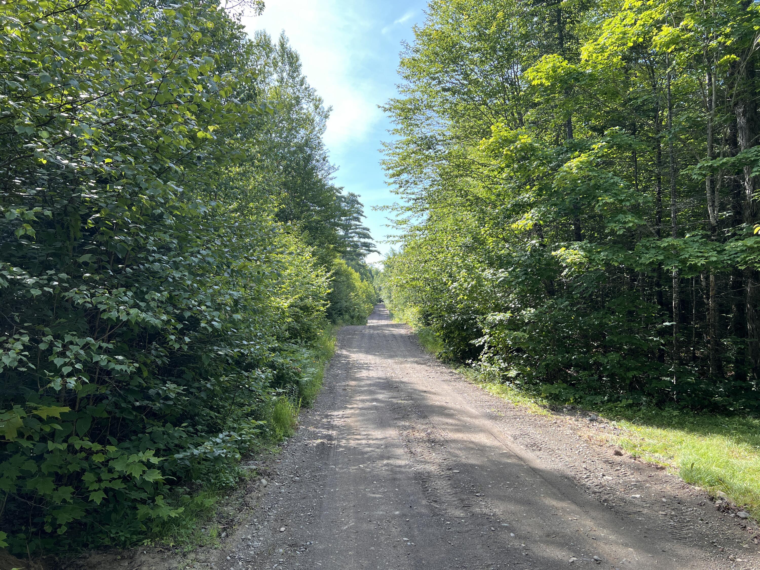 Lot 6-8 Franklin Realty Road Wytopitlock, ME 04497 - Photo 2 of 23 IMG_4471
