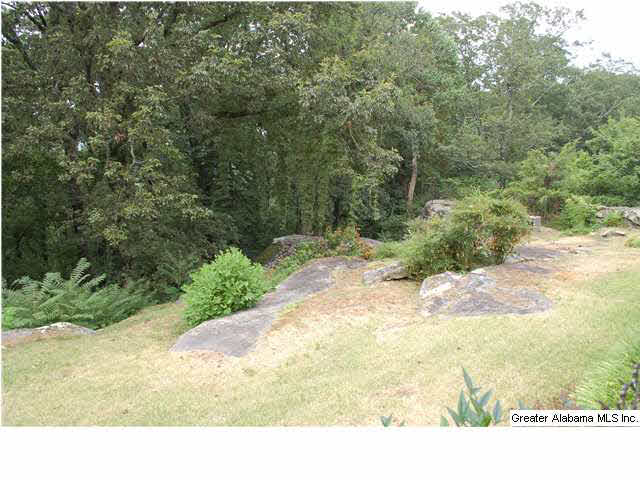 1540 Shades Crest Road Birmingham, AL 35226 - Photo 6 of 11