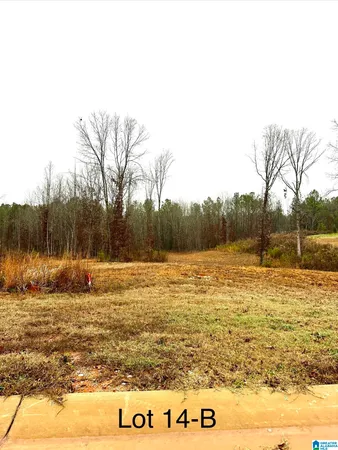 $50,000 | Olivia Lane, Unit 14B, Woodstock, AL 35188