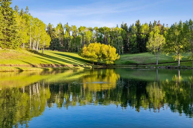 a view of a kitchen with furniture and a window