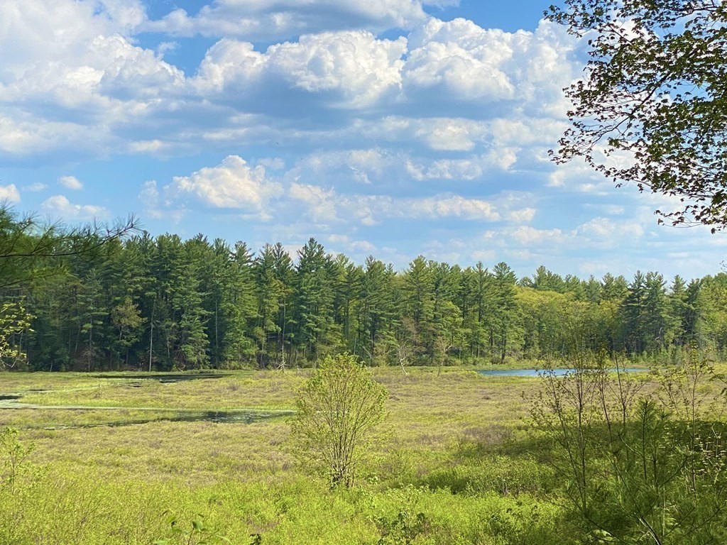 45 New Templeton Road Hubbardston, MA 01452 - Photo 7 of 36 Gallery Image 7