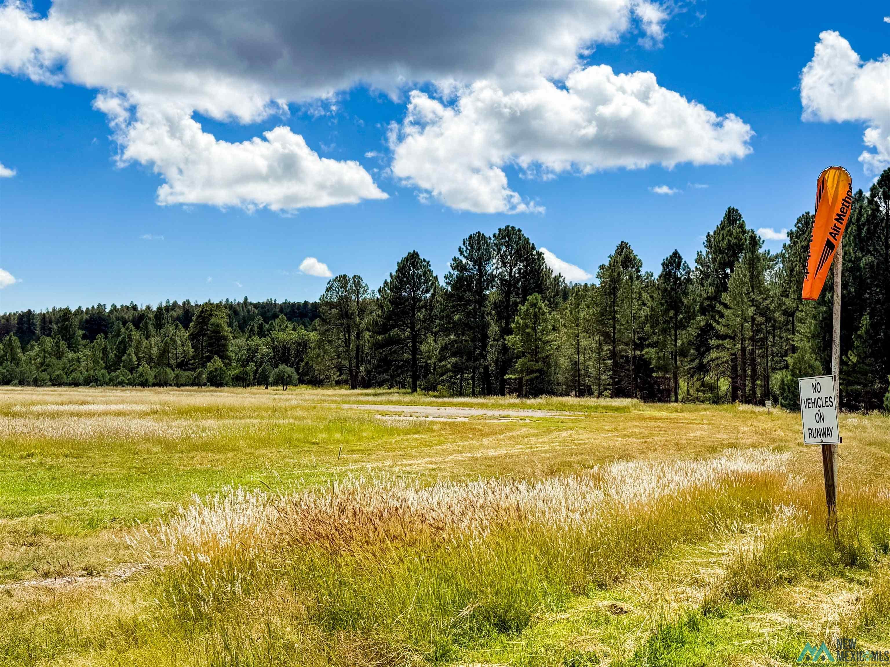 Lot 3 Paradise Road Timberon, NM 88350 - Photo 12 of 14 View of woods with a view of countryside