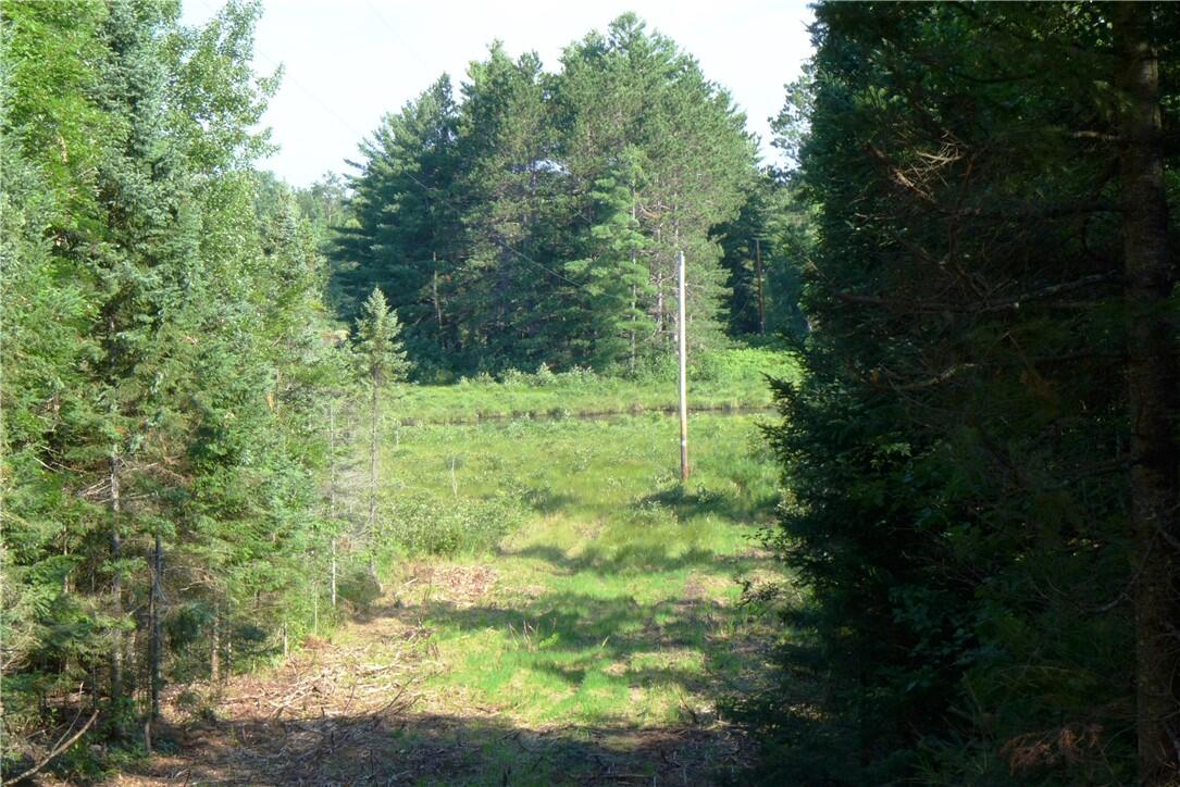 0 Brandt Road Hayward, WI 54843 - Photo 1 of 5 Ewert pic 1