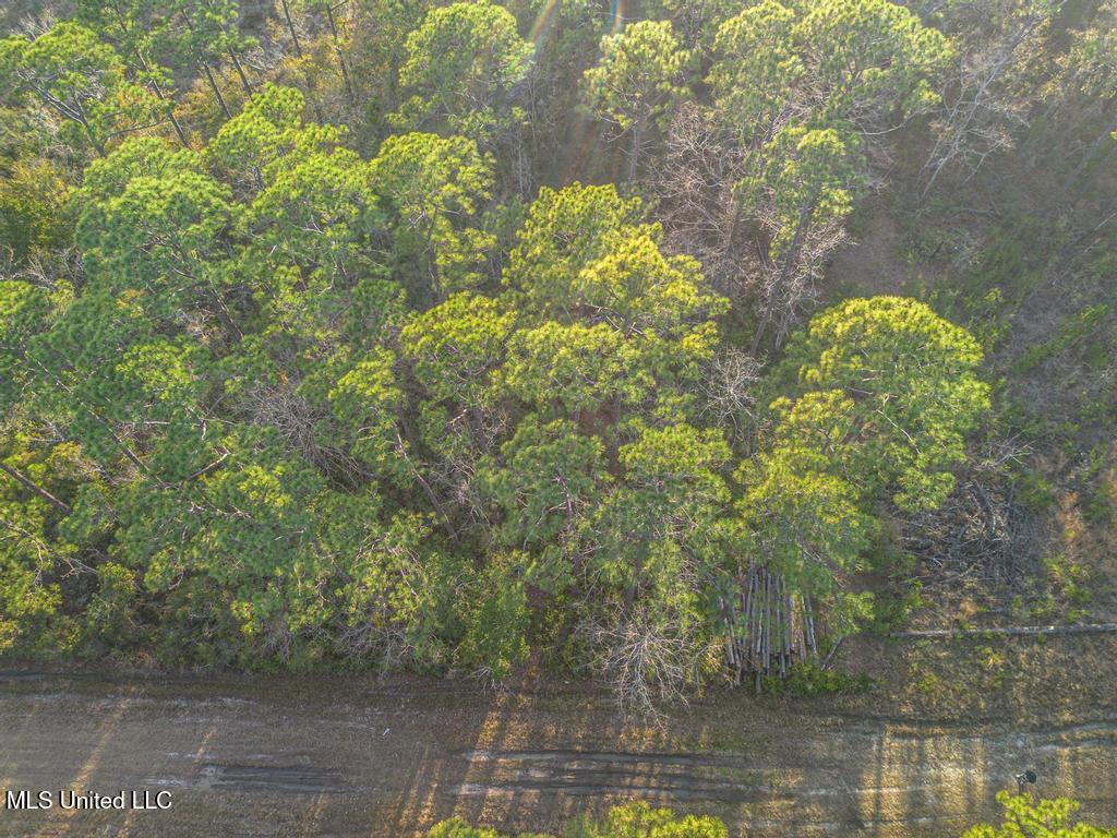 0 Oak Street Ocean Springs, MS 39564 - Photo 2 of 10 4-10