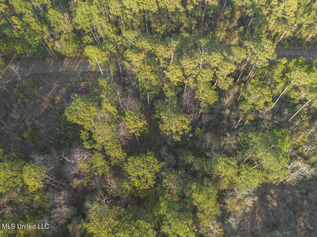 0 Oak Street Ocean Springs, MS 39564 - Photo 8 of 10 4-17