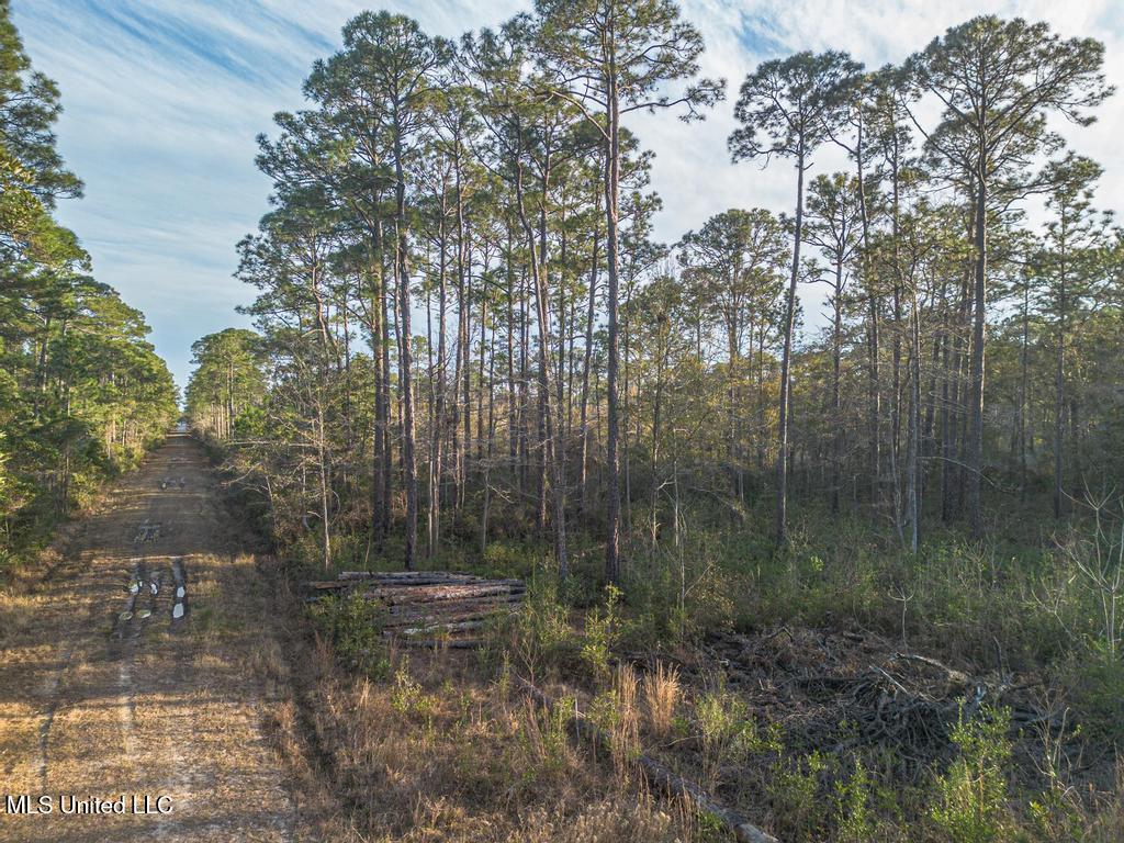 0 Oak Street Ocean Springs, MS 39564 - Photo 9 of 10 4-18