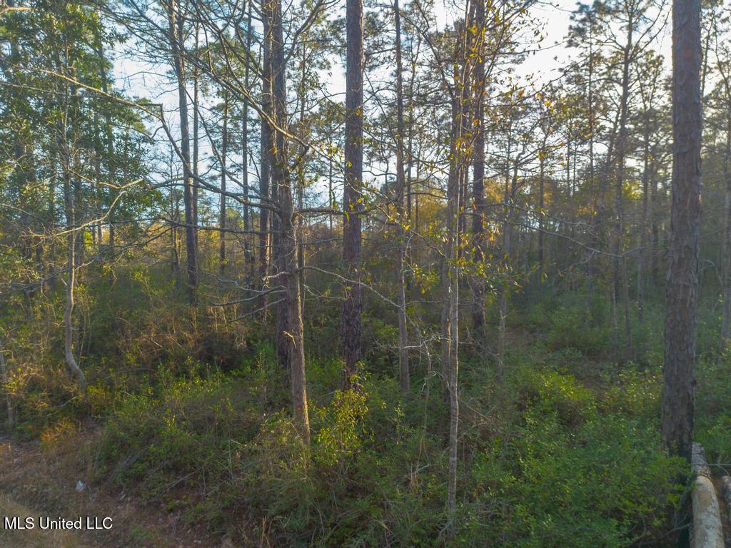 0 Oak Street Ocean Springs, MS 39564 - Photo 10 of 10 4-19