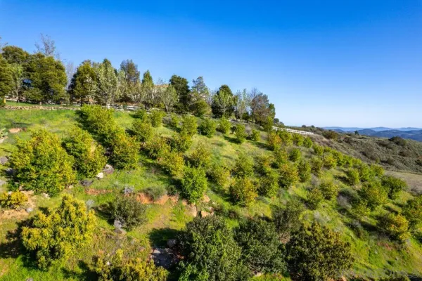 $579,999 | 44945 Palladian Court, Unit 15, Temecula, CA 92590