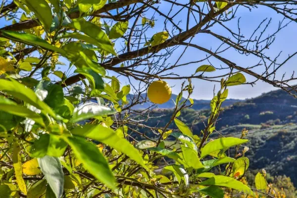 $579,999 | 44945 Palladian Court, Unit 15, Temecula, CA 92590