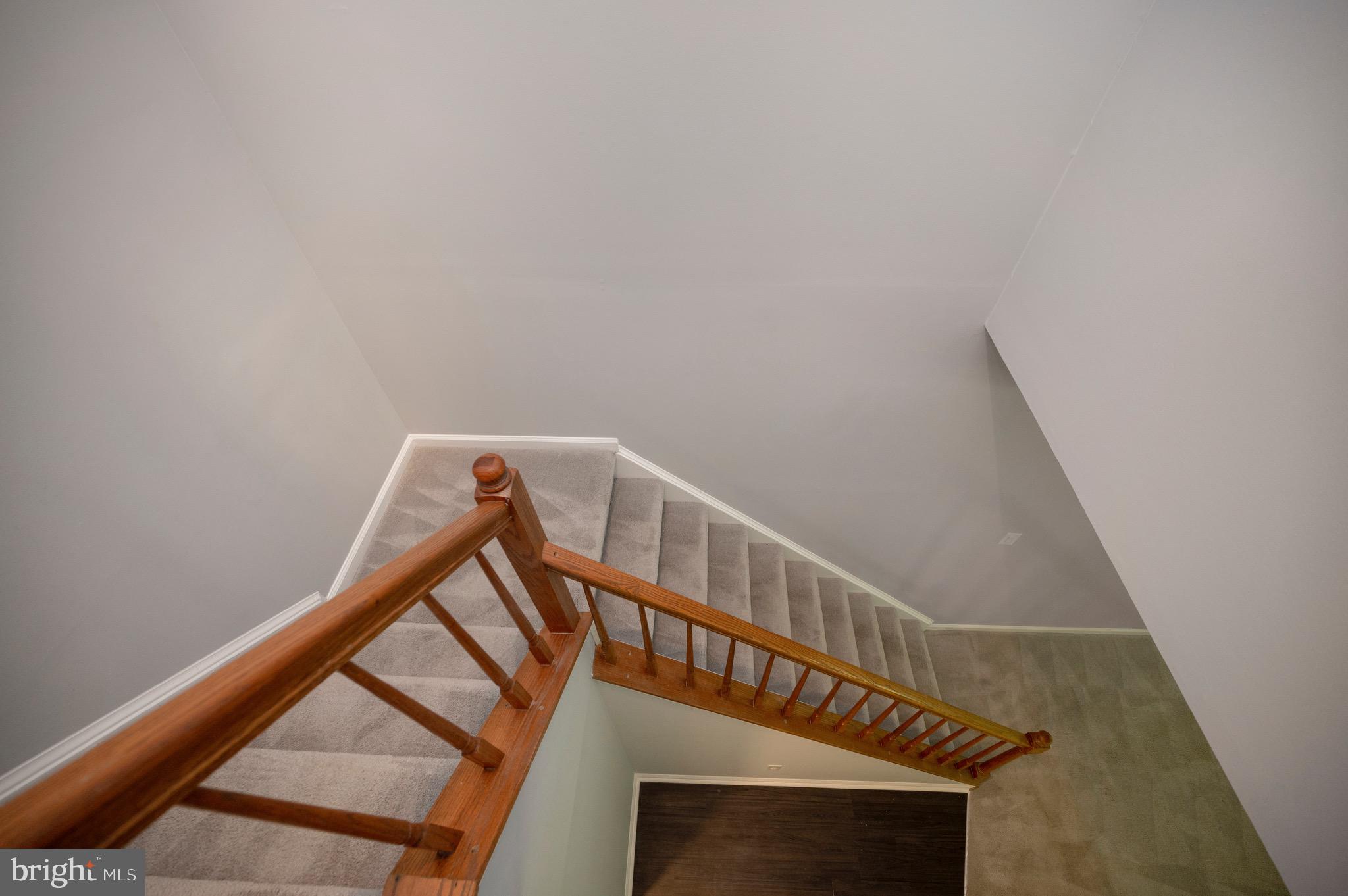 807 Wind Ridge Drive Stafford, VA 22554 - Photo 19 of 46