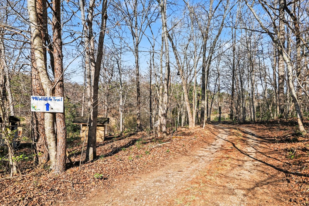 595 Wildlife Trail Morganton, GA 30560 - Photo 21 of 34 a view of outdoor space with wooden fence