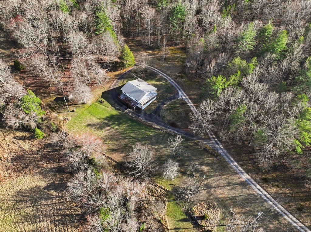 595 Wildlife Trail Morganton, GA 30560 - Photo 31 of 34 a backyard of a house with lots of green space