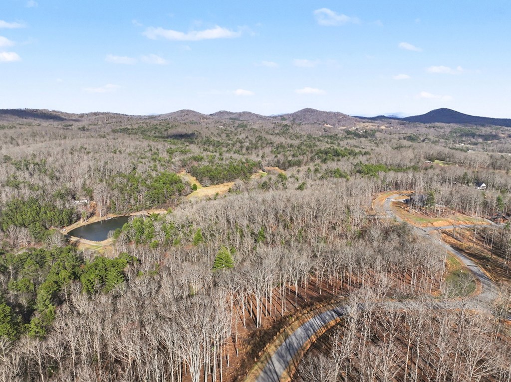 595 Wildlife Trail Morganton, GA 30560 - Photo 33 of 34 a view of a mountain in the distance in a field