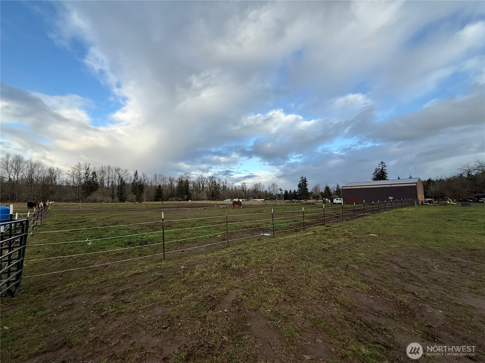 237 Collins Road Toledo, WA 98591 - Photo 25 of 29 Gallery Image 25