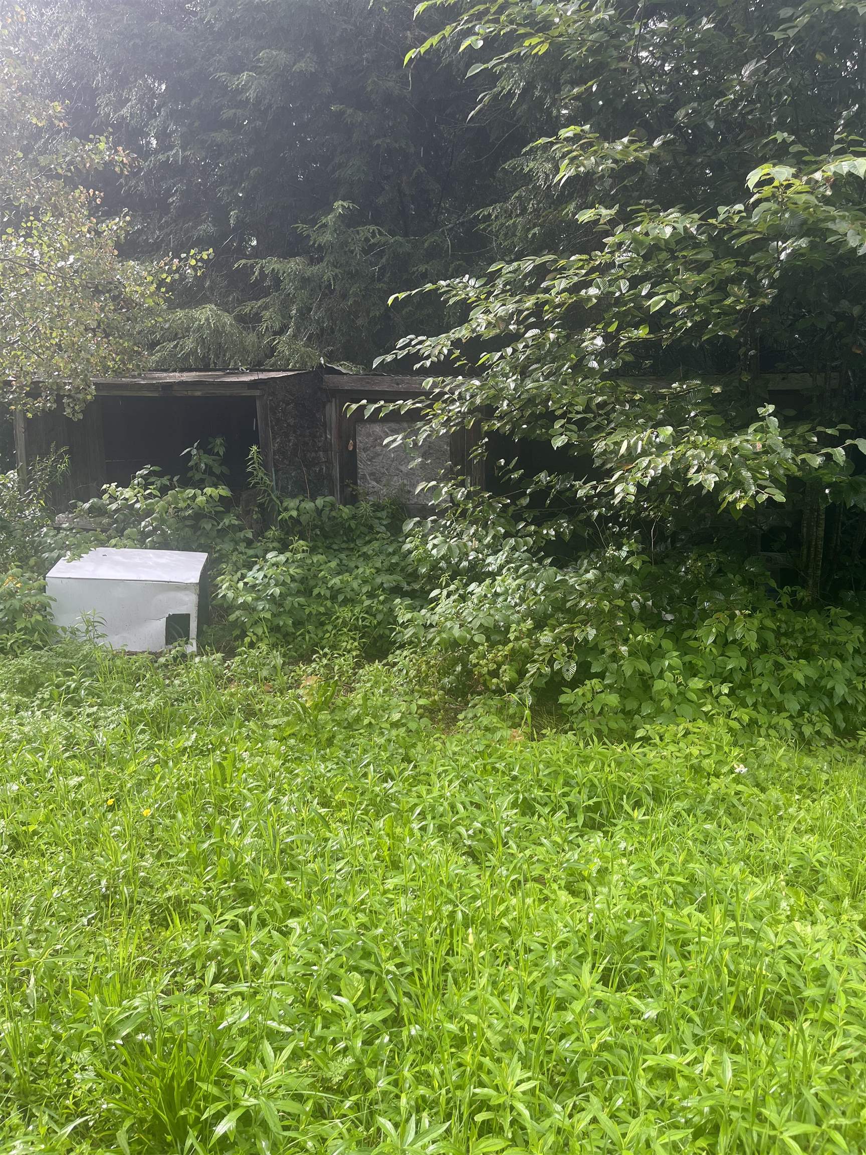 603 Corporation Road Rochester, VT 05767 - Photo 13 of 22