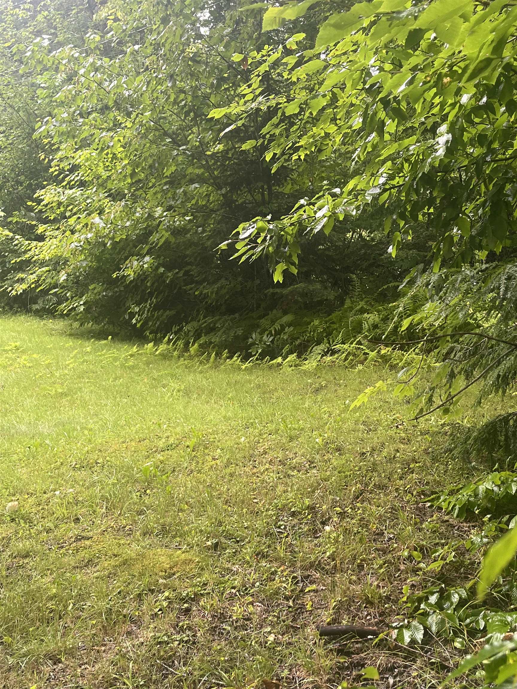 603 Corporation Road Rochester, VT 05767 - Photo 14 of 22