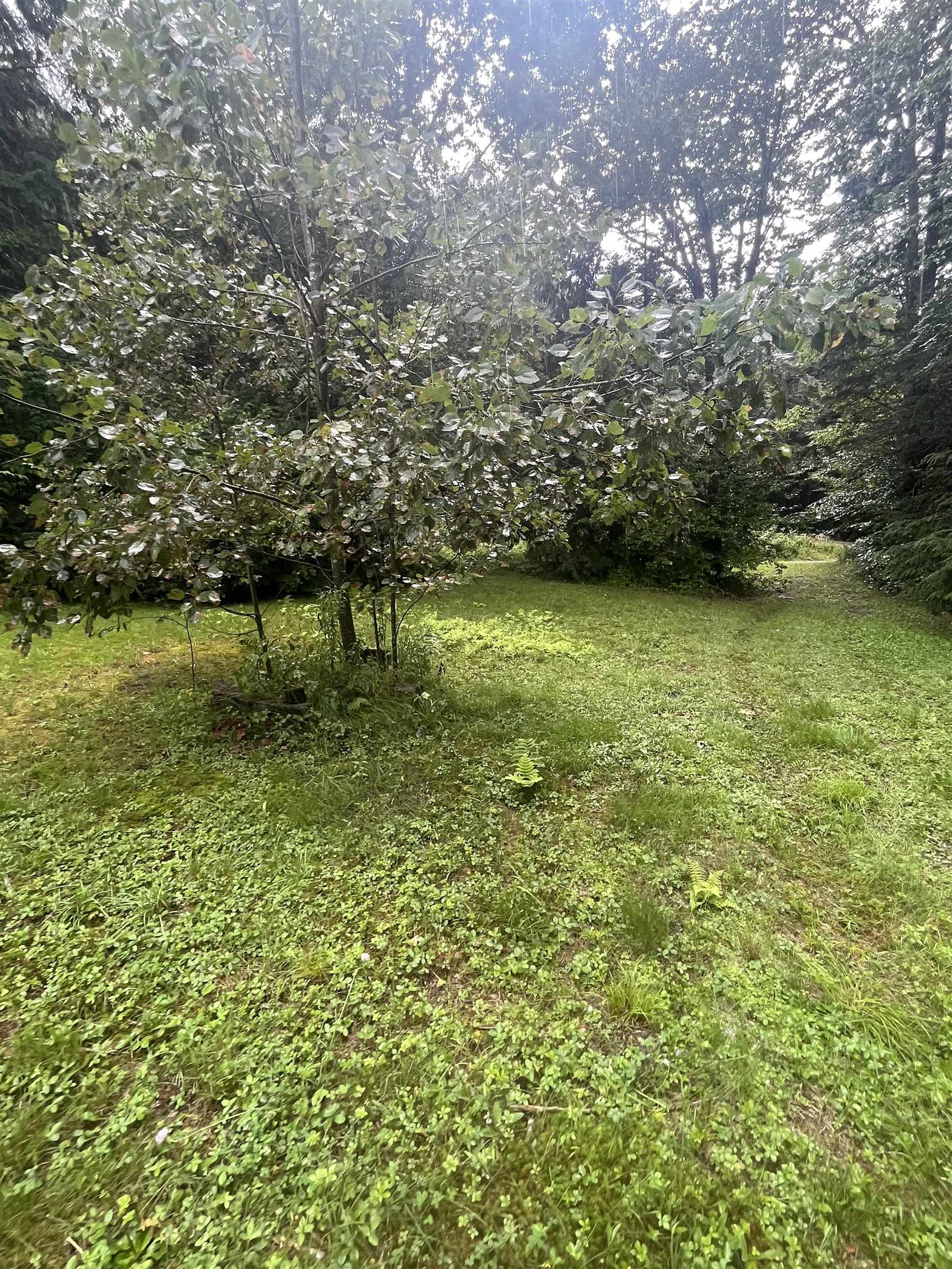 603 Corporation Road Rochester, VT 05767 - Photo 7 of 22