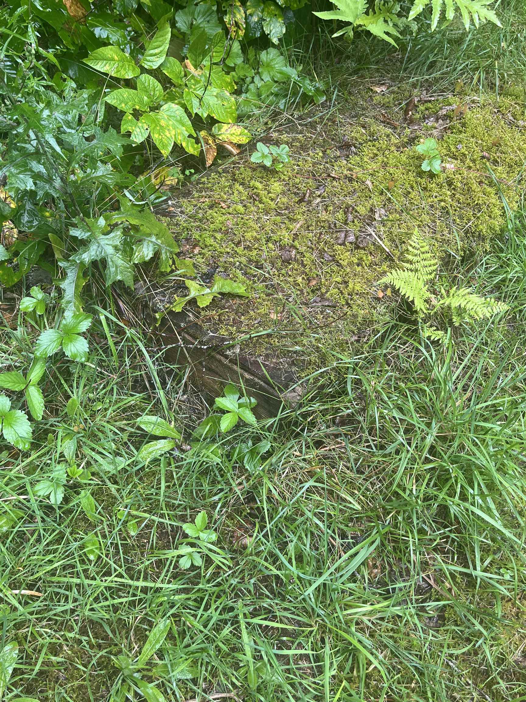603 Corporation Road Rochester, VT 05767 - Photo 8 of 22