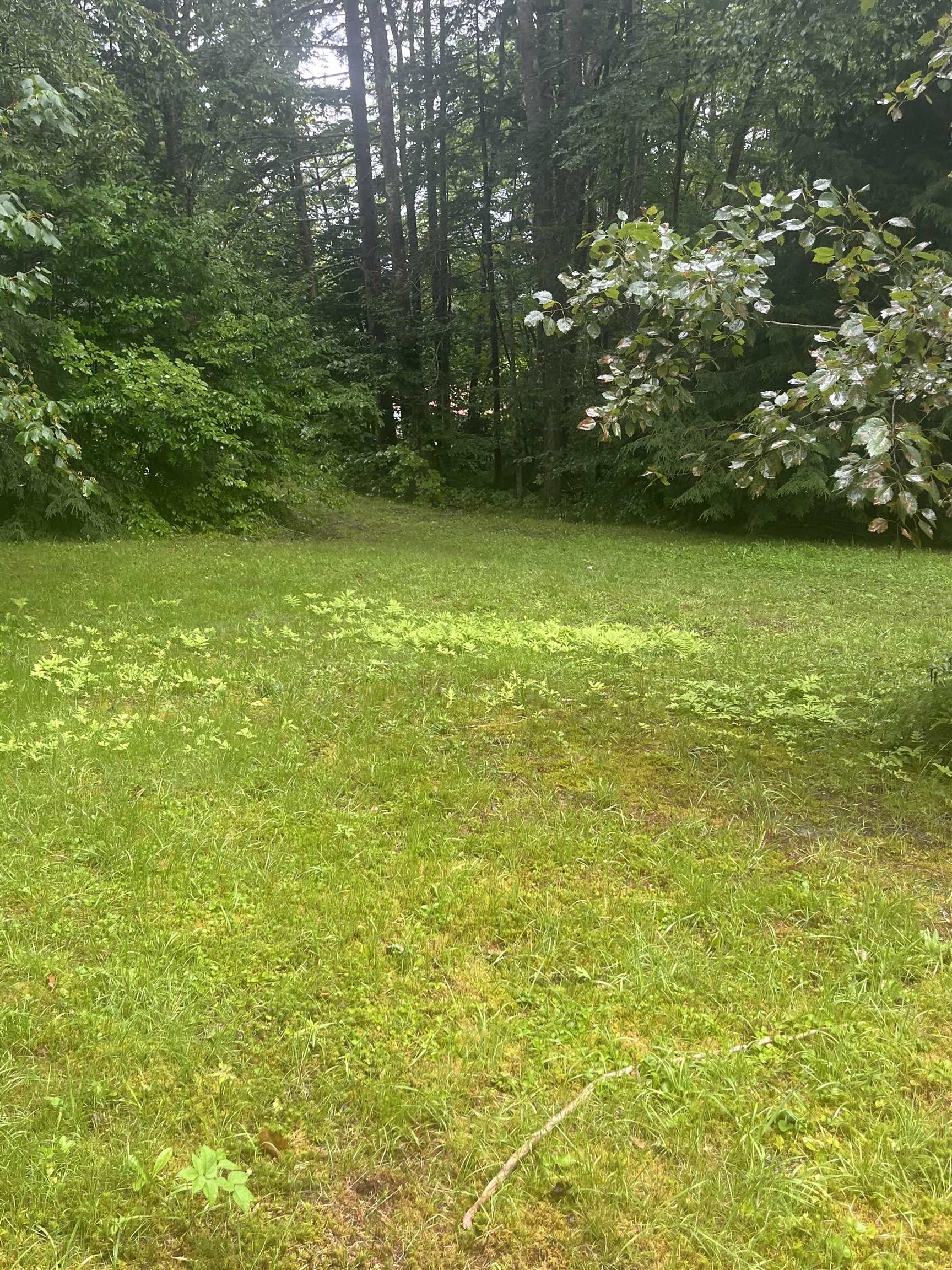 603 Corporation Road Rochester, VT 05767 - Photo 9 of 22