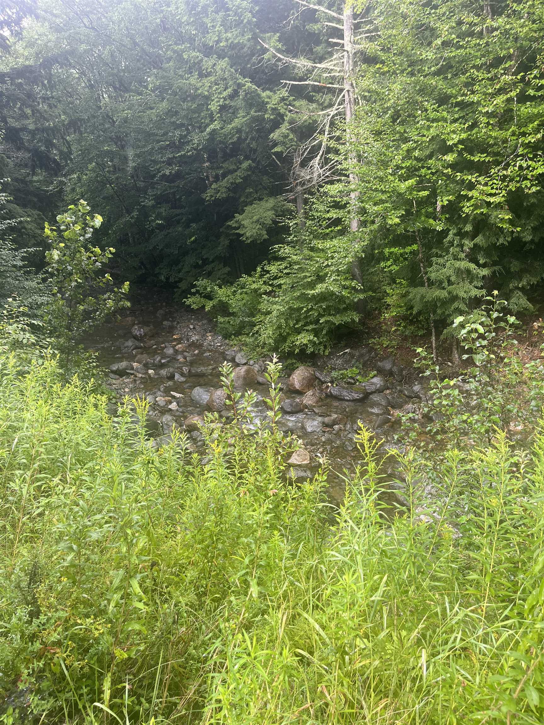 603 Corporation Road Rochester, VT 05767 - Photo 10 of 22