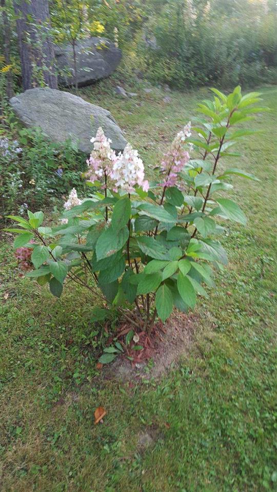 513 French Hill Road St. Albans Town, VT 05478 - Photo 22 of 30 Gallery Image 22