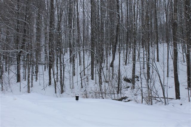 513 French Hill Road St. Albans Town, VT 05478 - Photo 30 of 30 Gallery Image 30