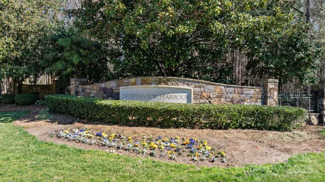a garden view with plants and large trees