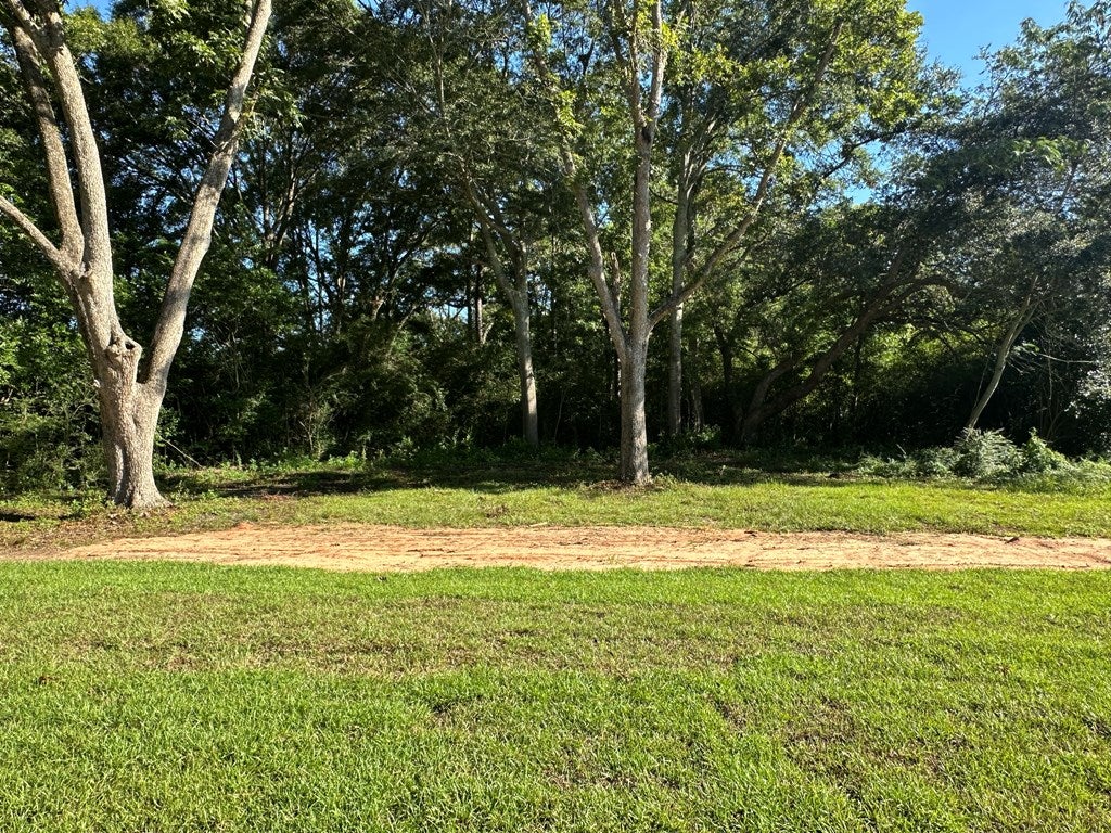 312 Bateman Avenue Slocomb, AL 36375 - Photo 19 of 21 Gallery Image 19