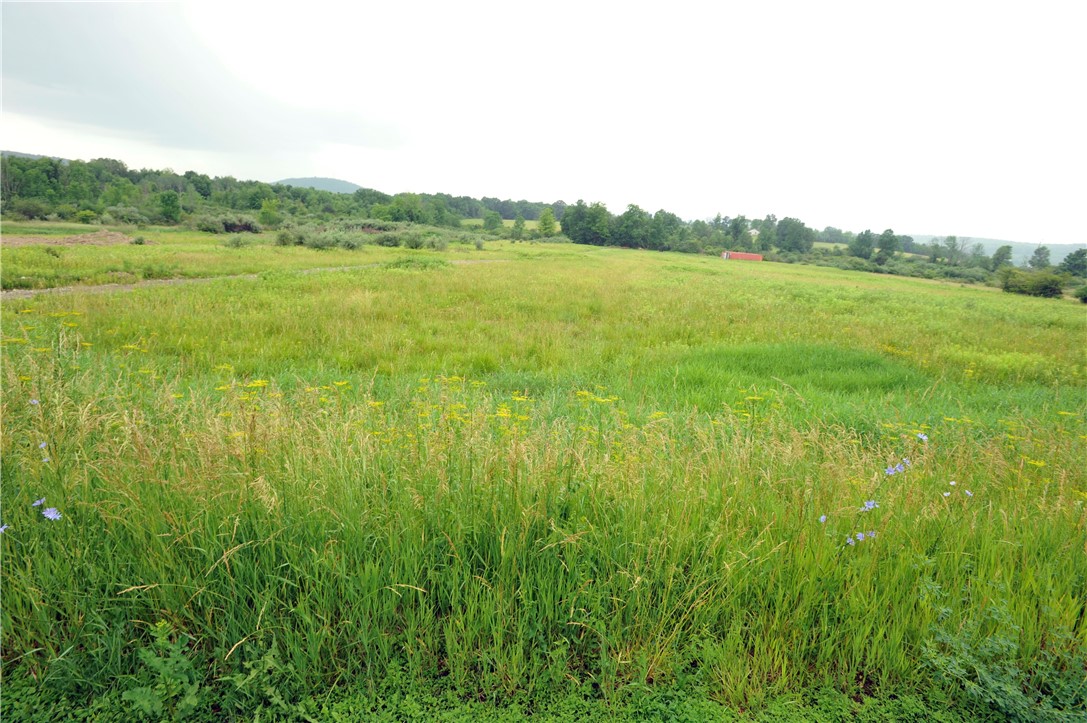 239 Vargo Road Horseheads, NY 14845 - Photo 4 of 8